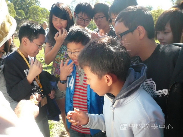 布里斯本名校遊學假期 ,學聯遊學團