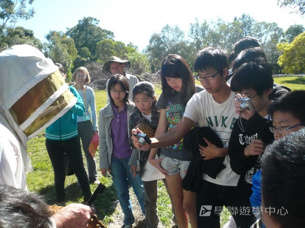 布里斯本名校遊學假期 ,學聯遊學團