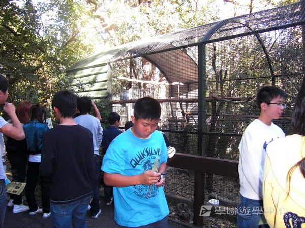 布里斯本名校遊學假期 ,學聯遊學團