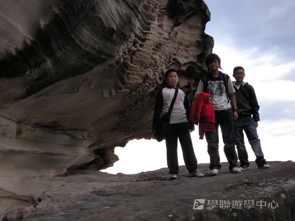 悉尼都會文化體驗遊學假期 ,學聯遊學團