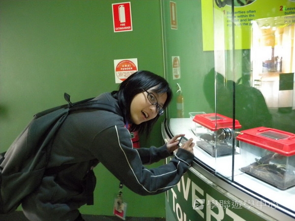 悉尼都會文化體驗遊學假期 ,學聯遊學團