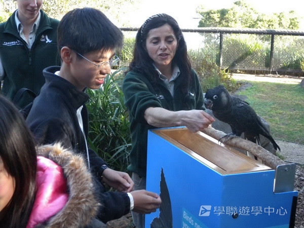 悉尼都會文化體驗遊學假期 ,學聯遊學團