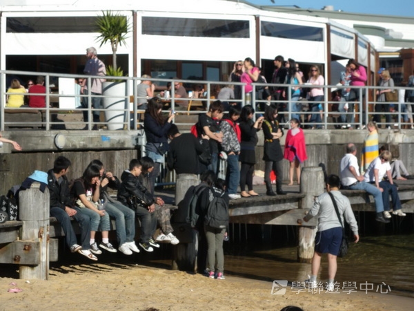 悉尼都會文化體驗遊學假期 ,學聯遊學團