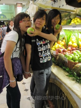 倫敦殿堂學府體驗之旅,學聯遊學團