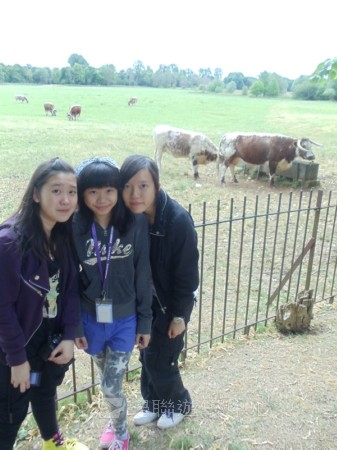 牛津英語文化體驗營,學聯遊學團