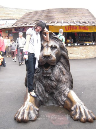 都會文化啟迪營,學聯遊學團