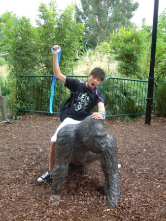 都會文化啟迪營,學聯遊學團