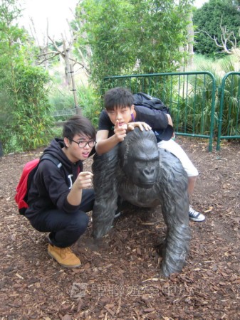 都會文化啟迪營,學聯遊學團