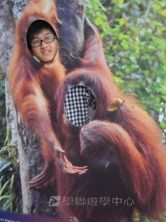 都會文化啟迪營,學聯遊學團