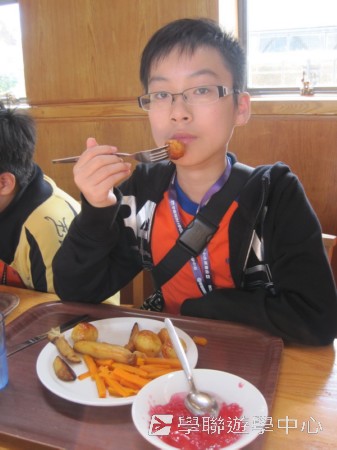 童心童學英語營,學聯遊學團