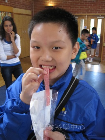 童心童學英語營,學聯遊學團