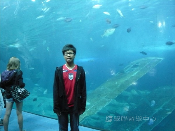 英式生活體驗營,學聯遊學團