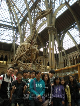 牛津英語文化體驗營,學聯遊學團