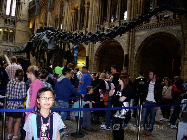 多元趣味英語體驗營,學聯遊學團