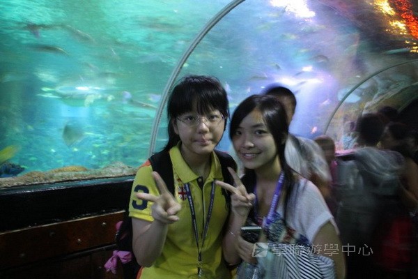 倫敦殿堂學府體驗之旅,學聯遊學團