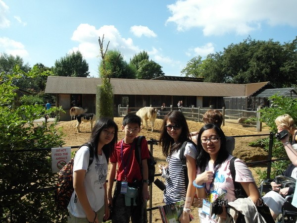 都會文化啟迪營,學聯遊學團