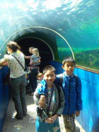 繽FUN遊學生活體驗之旅 ,學聯遊學團