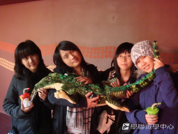 悉尼都會文化體驗遊學假期,學聯遊學團