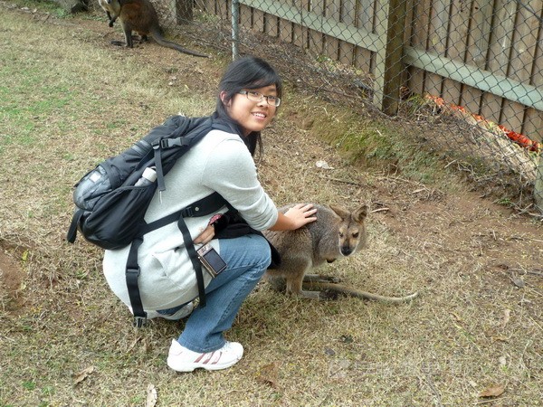 澳洲東岸體驗假期 (布里斯本、開恩茲),學聯遊學團