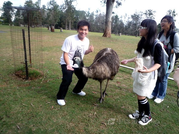 澳洲東岸體驗假期 (布里斯本、開恩茲),學聯遊學團