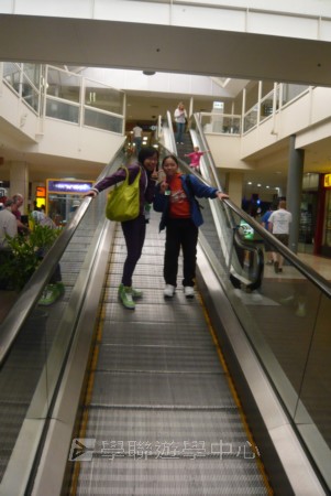 黃金海岸金色遊學假期,學聯遊學團