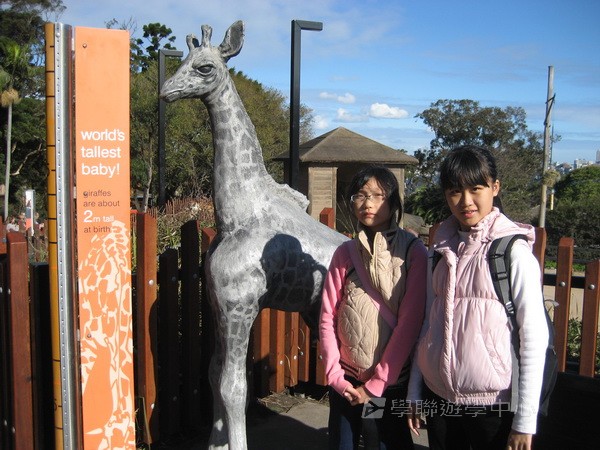 悉尼都會文化體驗遊學假期,學聯遊學團