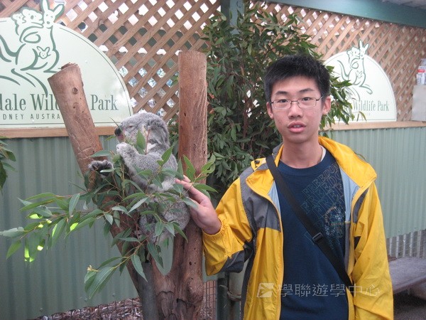 悉尼都會文化體驗遊學假期,學聯遊學團