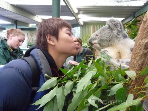 悉尼都會文化體驗遊學假期,學聯遊學團