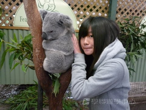 悉尼都會文化體驗遊學假期,學聯遊學團