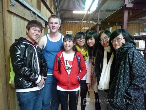 悉尼都會文化體驗遊學假期,學聯遊學團