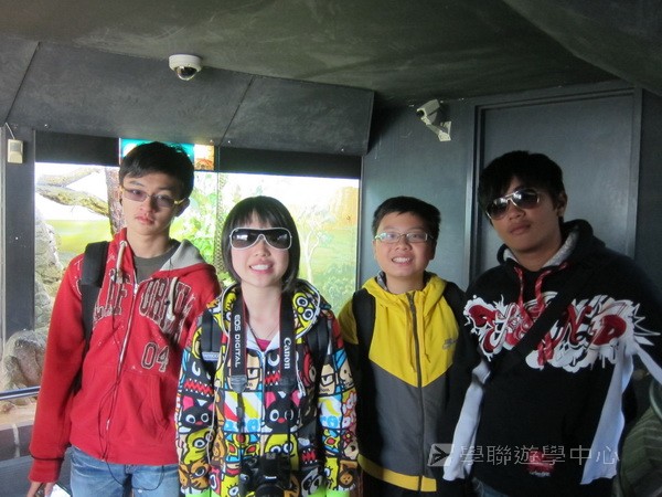 澳洲東岸體驗假期 ,學聯遊學團