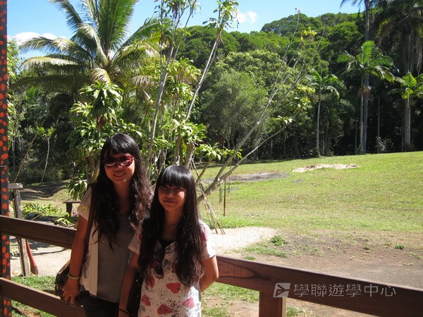 澳洲東岸體驗假期 ,學聯遊學團