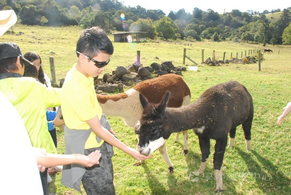黃金海岸金色遊學假期,學聯遊學團
