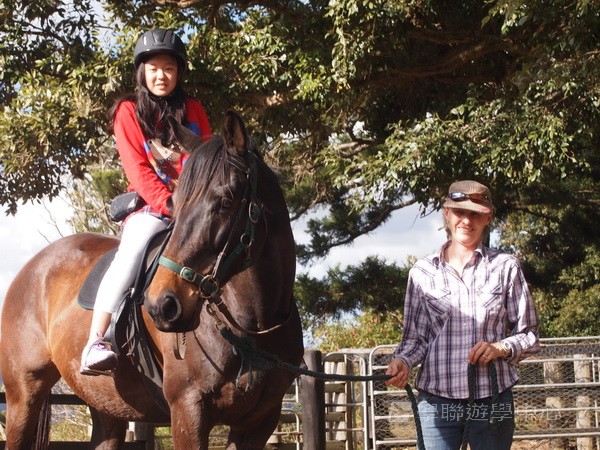 黃金海岸金色遊學假期,學聯遊學團