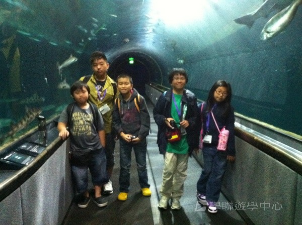 三藩市學術文化FREE體驗,學聯遊學團