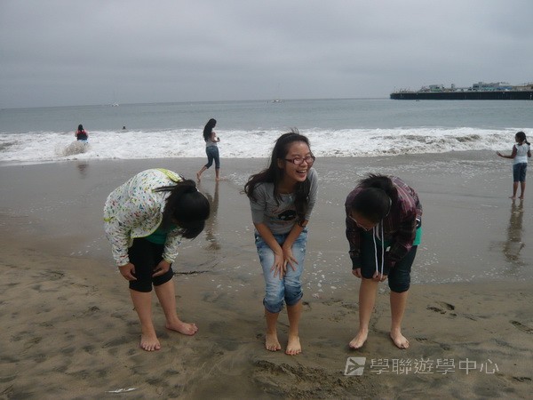 三藩市學術文化FREE體驗,學聯遊學團