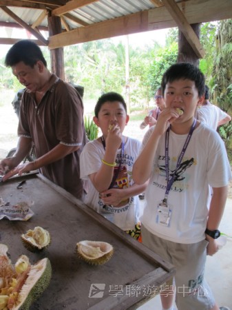 新加坡領袖訓練學習之旅,學聯遊學團