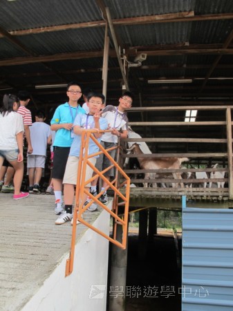 新加坡領袖訓練學習之旅,學聯遊學團