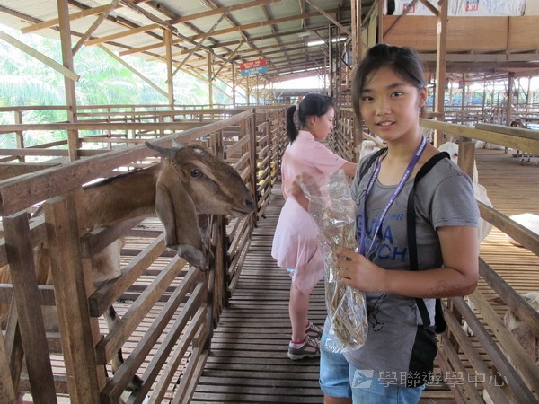 新加坡領袖訓練學習之旅,學聯遊學團