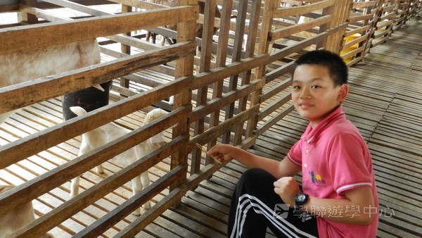 新加坡領袖訓練學習之旅,學聯遊學團