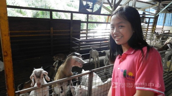 新加坡領袖訓練學習之旅,學聯遊學團