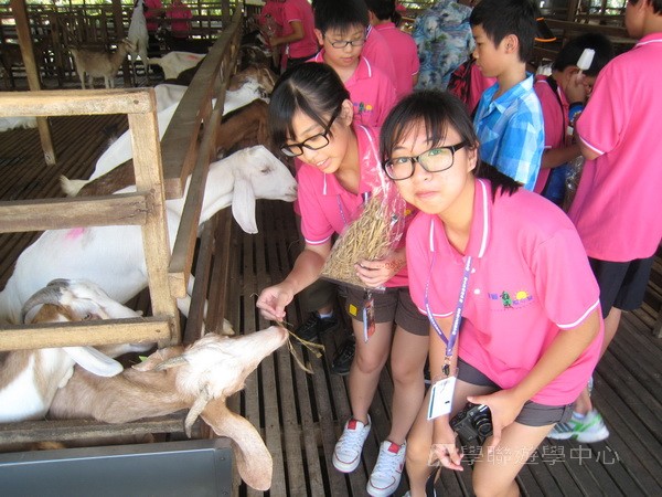 新加坡領袖訓練學習之旅,學聯遊學團