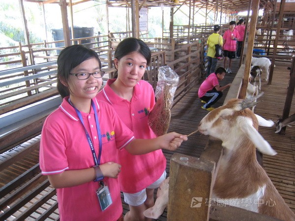 新加坡領袖訓練學習之旅,學聯遊學團
