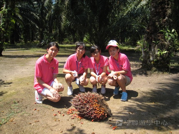 新加坡領袖訓練學習之旅,學聯遊學團