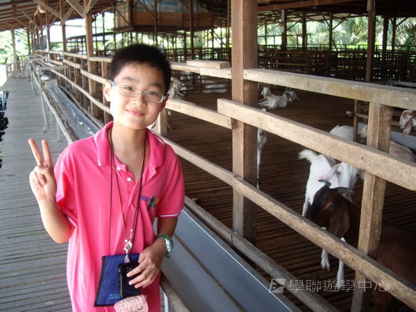 新加坡領袖訓練學習之旅,學聯遊學團