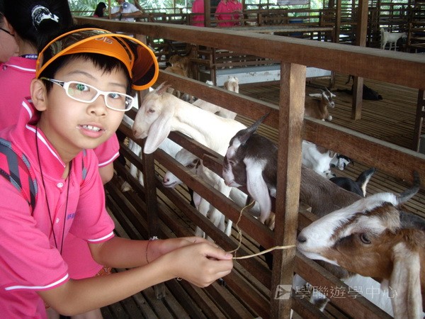 新加坡領袖訓練學習之旅,學聯遊學團