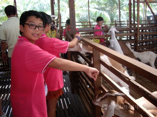 新加坡領袖訓練學習之旅,學聯遊學團