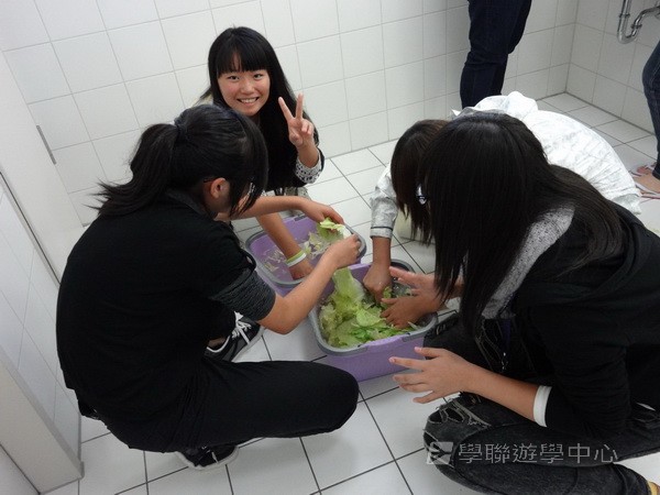 歐洲體驗營,學聯遊學團