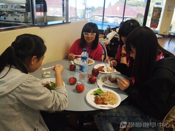悉尼都會文化體驗遊學假期,學聯遊學團