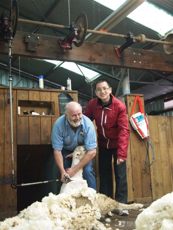 悉尼都會文化體驗遊學假期,學聯遊學團